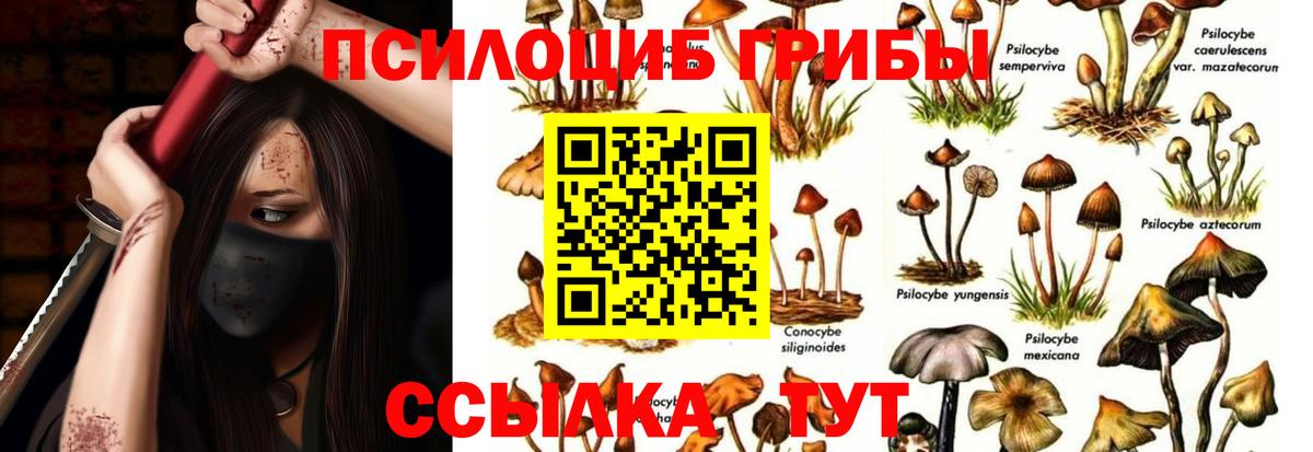 Электросталь  Галлюциногенные грибы мухоморы  Вход с VPN 